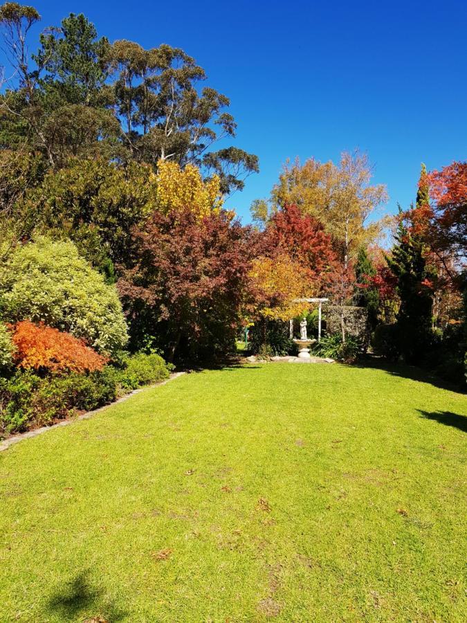 Winston Cottage At Three Sisters Katoomba Exteriör bild