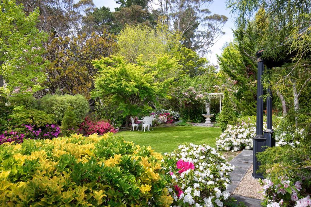 Winston Cottage At Three Sisters Katoomba Exteriör bild
