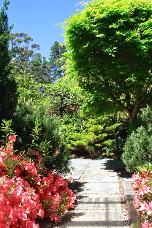Winston Cottage At Three Sisters Katoomba Exteriör bild