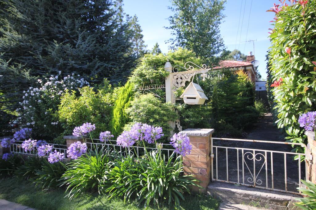 Winston Cottage At Three Sisters Katoomba Exteriör bild