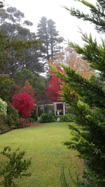 Winston Cottage At Three Sisters Katoomba Exteriör bild