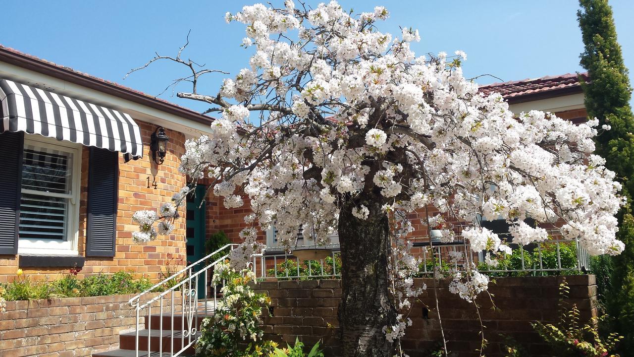 Winston Cottage At Three Sisters Katoomba Exteriör bild